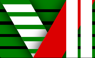 Mini Logo VIDEOTECII